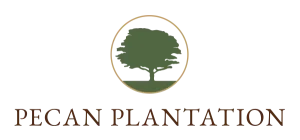 Pecan Plantation